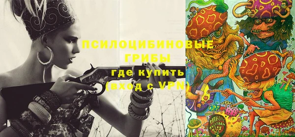 дурь Строитель